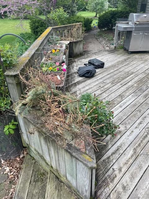 Oshkosh Project Before Photo Flower Boxes